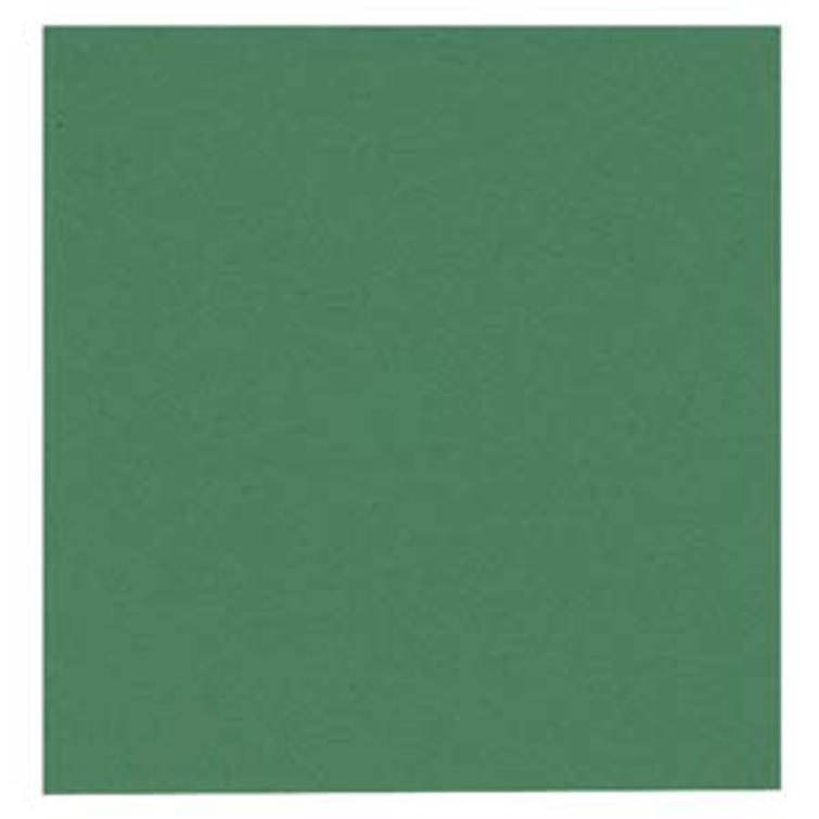 GASTRO lautasliina vihreä 24x24 2krs ¼-taitto 4000kpl