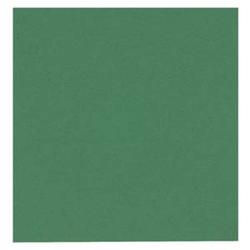 GASTRO lautasliina vihreä 24x24 2krs ¼-taitto 4000kpl