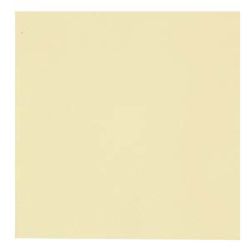 GASTRO lautasliina shampanja 24x24 2krs 4000kpl