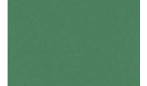 GASTRO-LINE lautasliina vihreä 24x24 2krs ¼-taitto 3000kpl